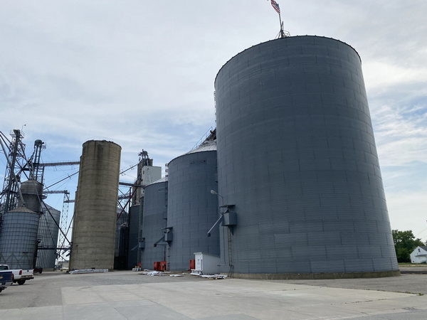 Kinde - July 2021 Photo (newer photo)